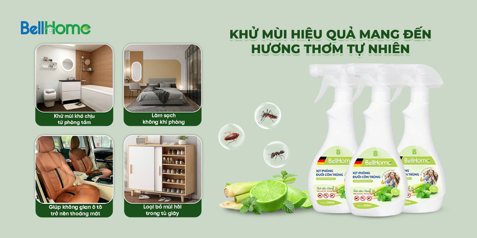 IMG_1730951413403_1730955466265